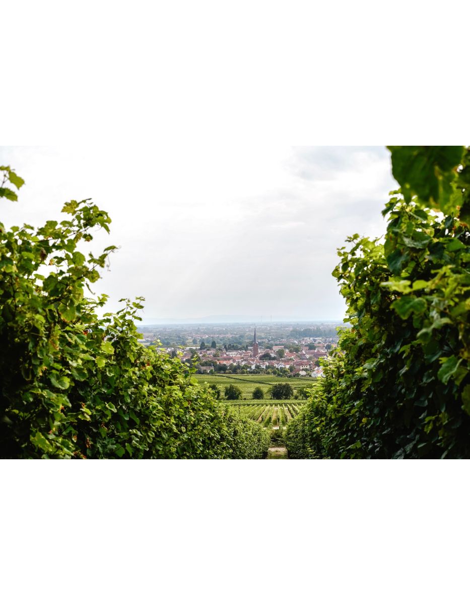 Produktphoto