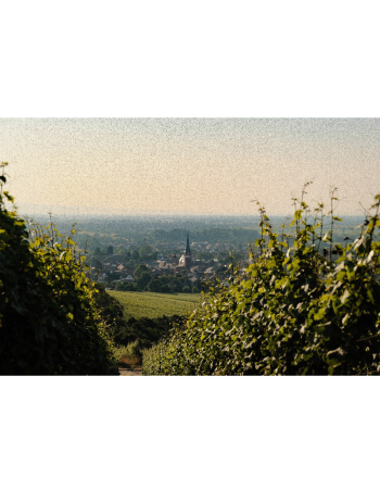 GG-Wanderung 26. September 2026 - 10-14 Uhr