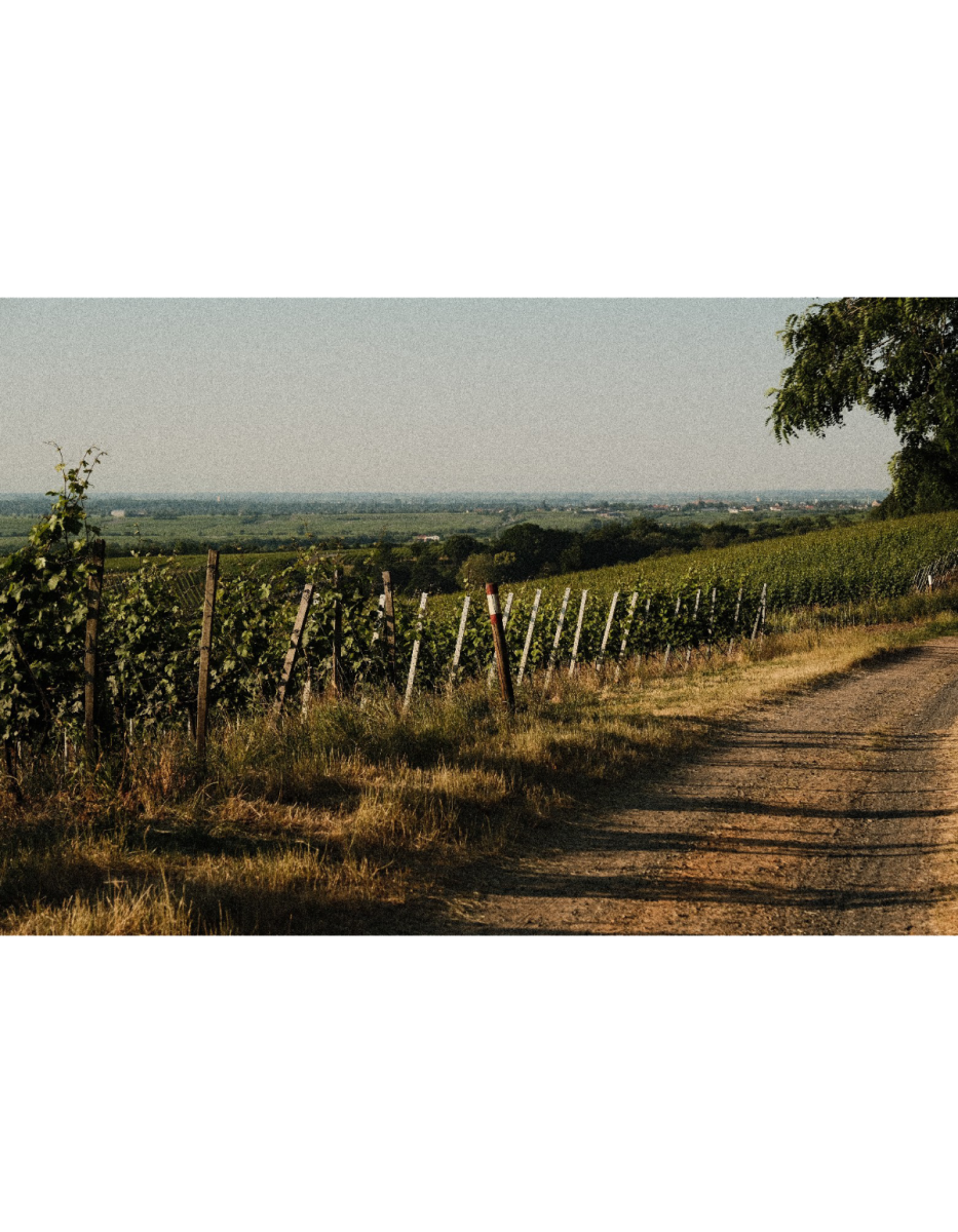 Produktphoto
