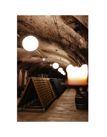 Öffentliche Kellerführung 01. August 2026 - 11 Uhr